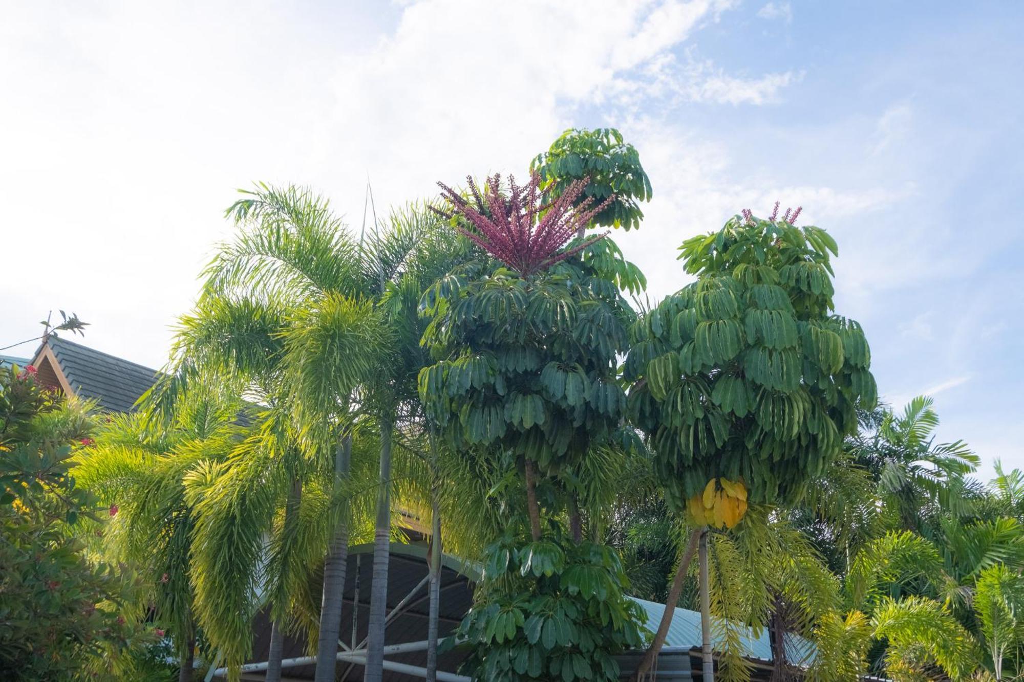 Blue Beach Grand Resort And Spa In Chalong Phuket By Dayuu Ban Saiyuan Екстериор снимка